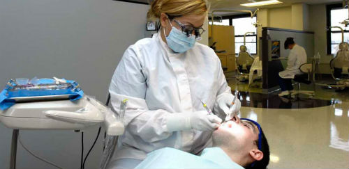 Dental-Hygienist